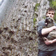 Image for article titled How Adopting A Dog Saved My Life